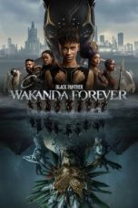 film-black-panther-wakanda-forever-2022-lk21-d21